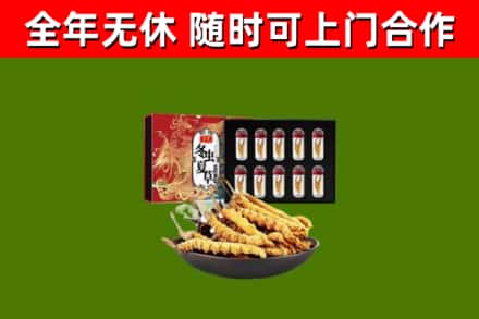 德钦回收冬虫夏草价格